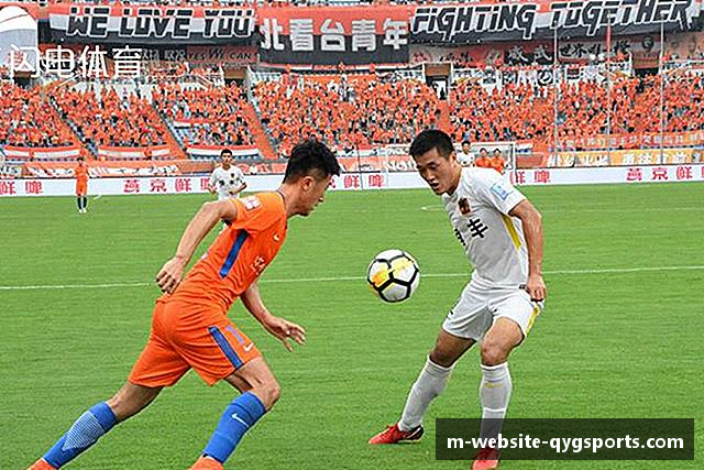 介绍奇异果体育